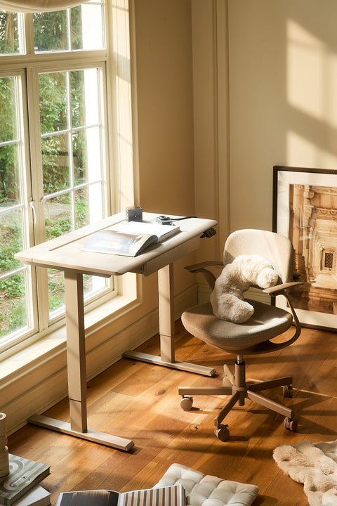 Anydesk Hub Electric Sit-To-Stand desk