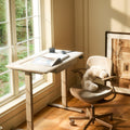 AnyDesk Hub Electric Sit-To-Stand Desk