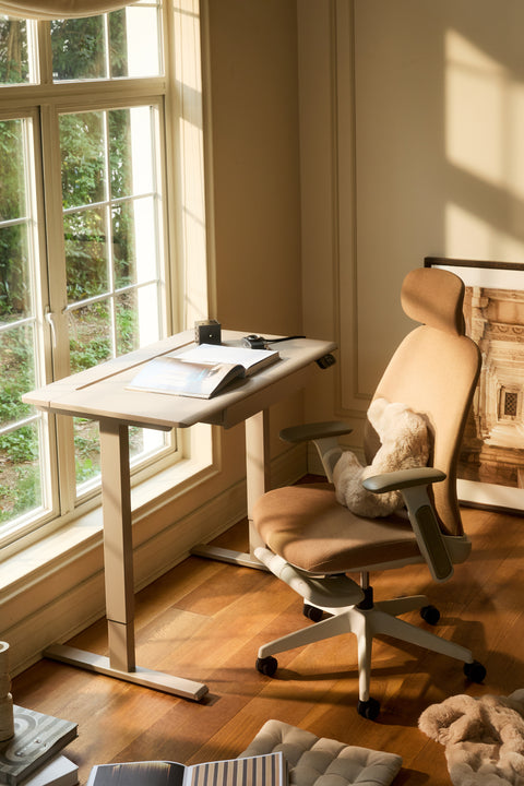 AnyDesk Hub Electric Sit-To-Stand Desk