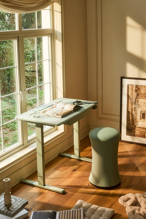 Anydesk Hub Electric Sit-To-Stand desk