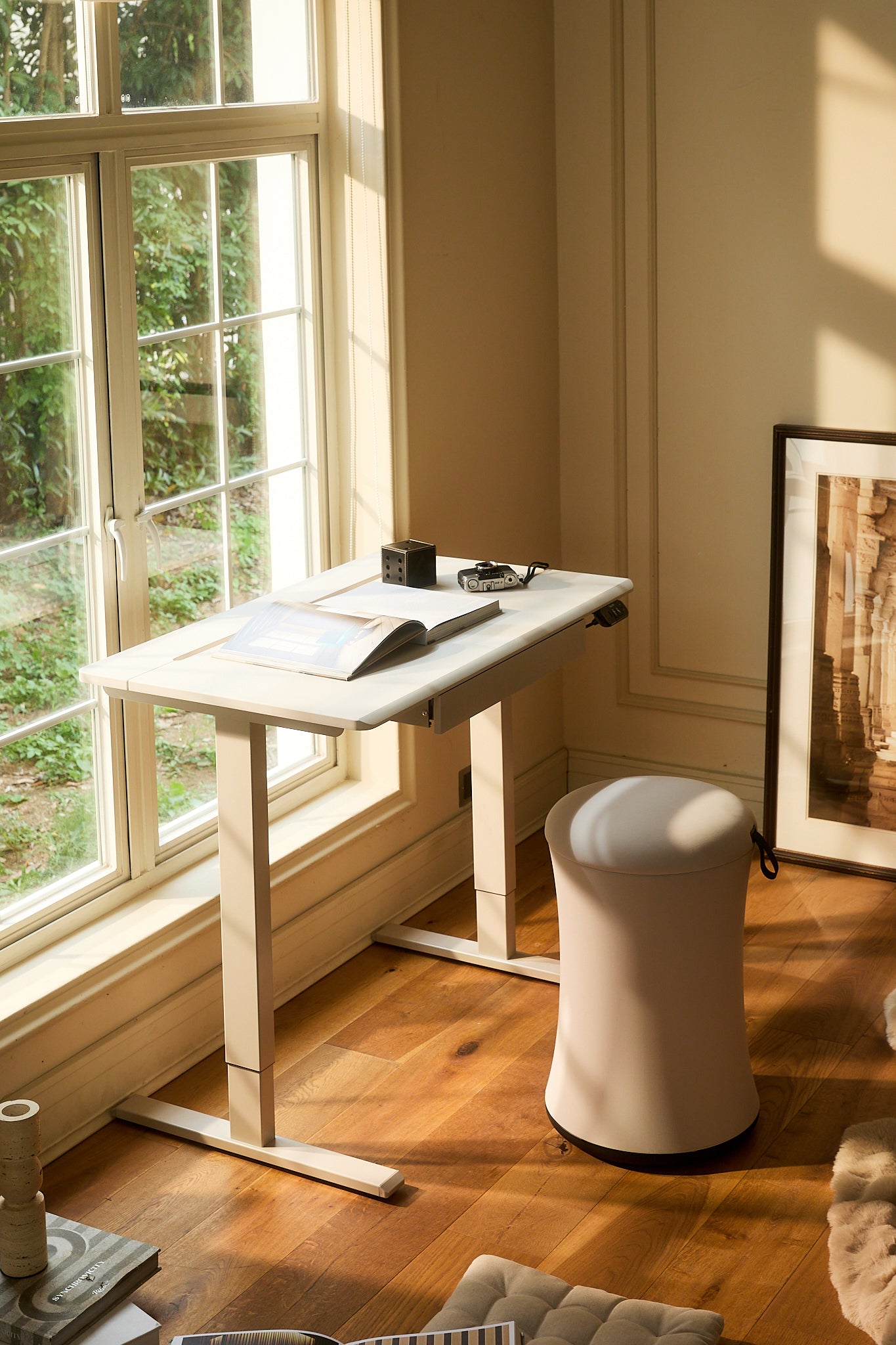 AnyDesk Hub Electric Sit-To-Stand Desk