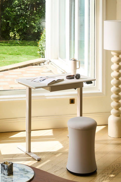 Anydesk Hub Electric Sit-To-Stand desk