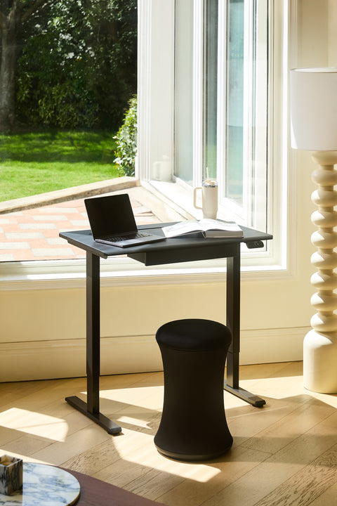 AnyDesk Hub Electric Sit-To-Stand Desk