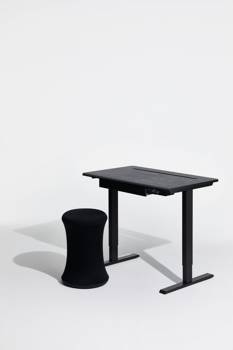 AnyDesk Hub Electric Sit-To-Stand Desk