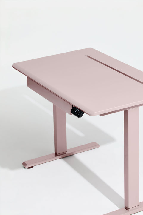 AnyDesk Hub Electric Sit-To-Stand Desk