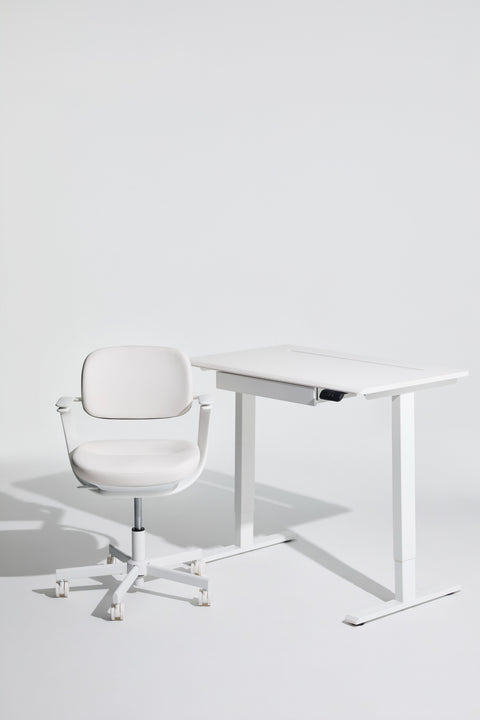 AnyDesk Hub Electric Sit-To-Stand Desk