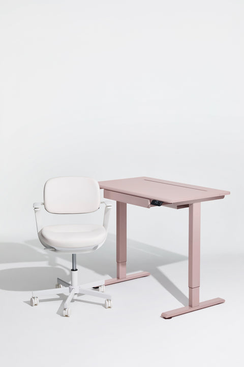 AnyDesk Hub Electric Sit-To-Stand Desk