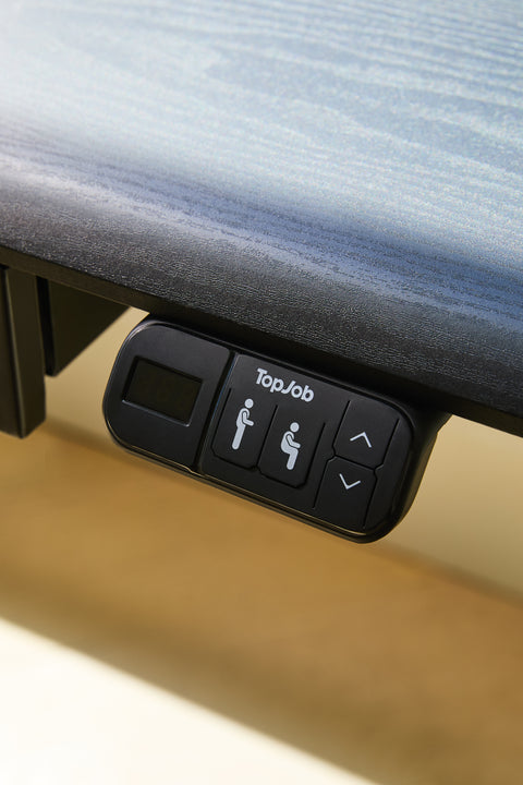 AnyDesk Hub Electric Sit-To-Stand Desk