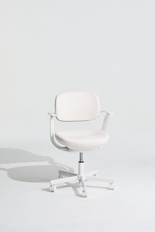 BISKIT Ergonomic Chair