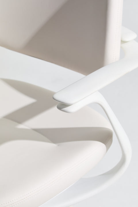 BISKIT Ergonomic Chair