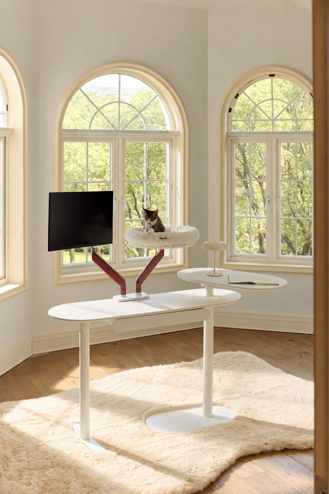 Pawdium Desk-Mounted Cat Nest