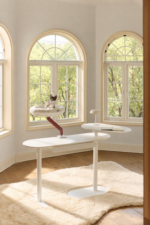 Pawdium Desk-Mounted Cat Nest