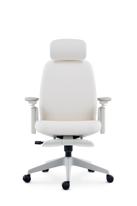 Napa Ergonomic Chair