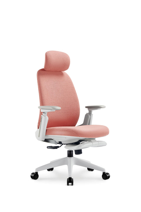 Napa Ergonomic Chair