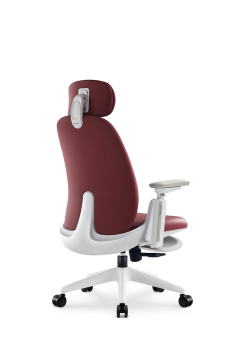 Napa Ergonomic Chair