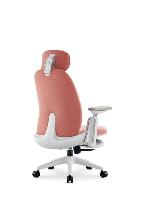 Napa Ergonomic Chair