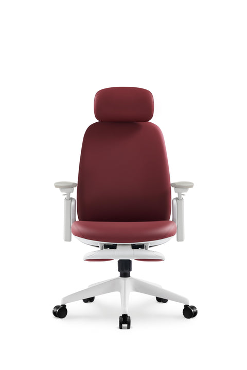 Napa Ergonomic Chair