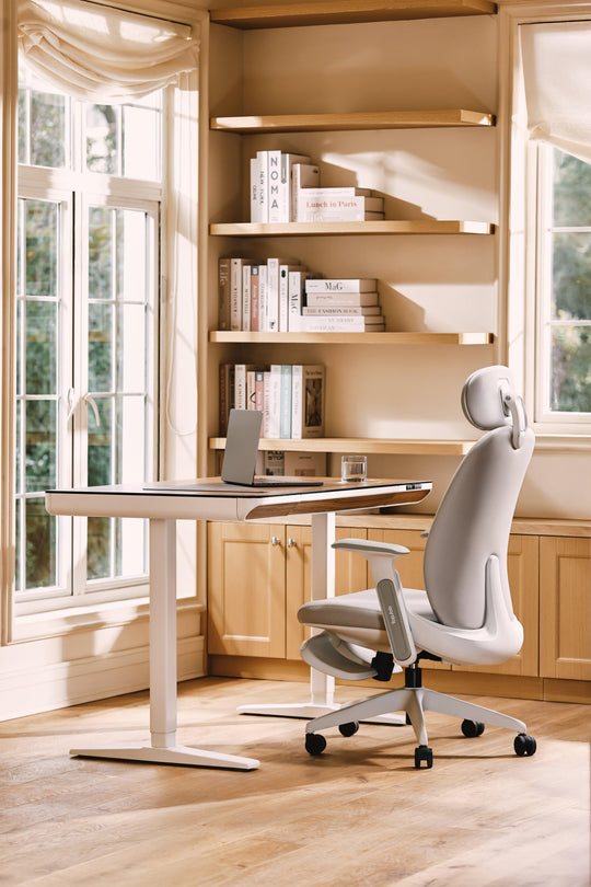 Napa Ergonomic Chair