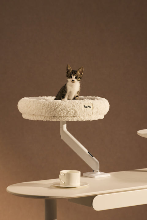 Pawdium Desk-Mounted Cat Nest