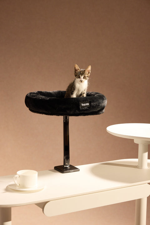 Pawdium Desk-Mounted Cat Nest