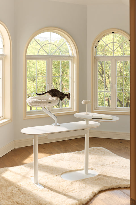 Pawdium Desk-Mounted Cat Nest