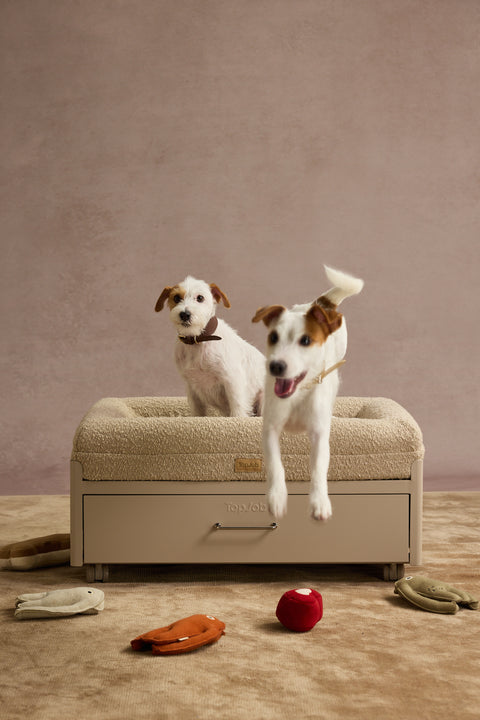 Pawffice