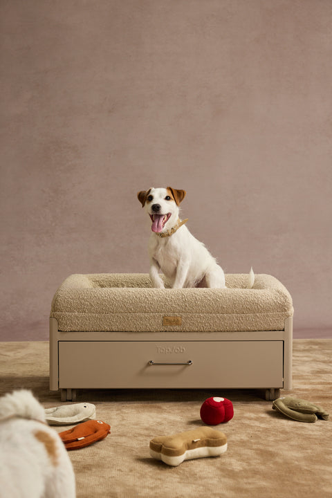 Pawffice