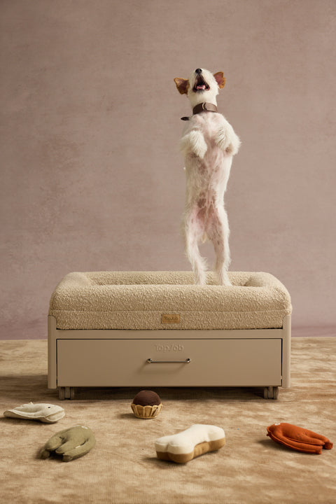 Pawffice