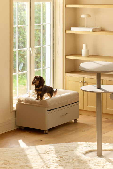Pawffice
