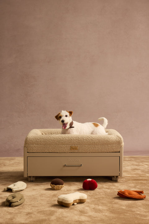 Pawffice