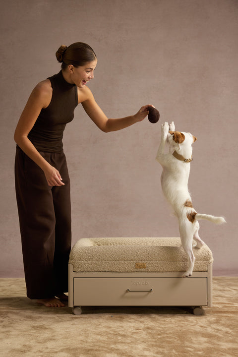 Pawffice