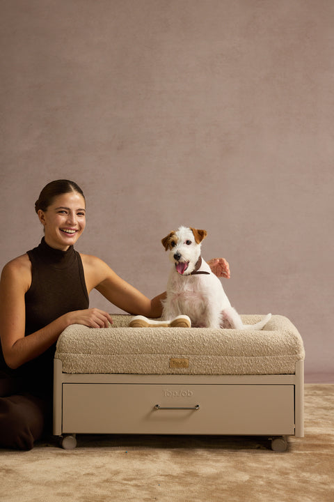 Pawffice