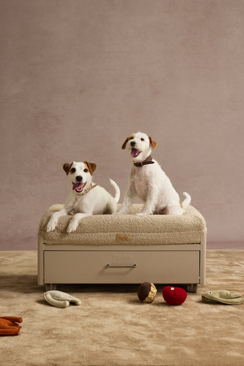 Pawffice