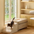 Easy-Climb Foam Ramp for Pawffice