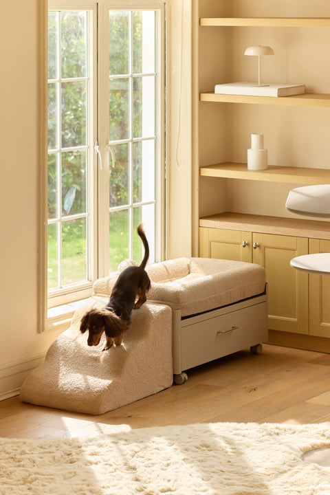 Easy-Climb Foam Ramp