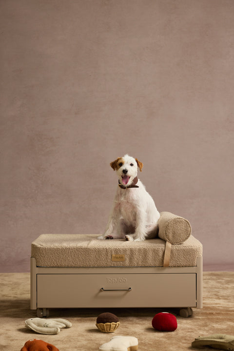 Pawffice