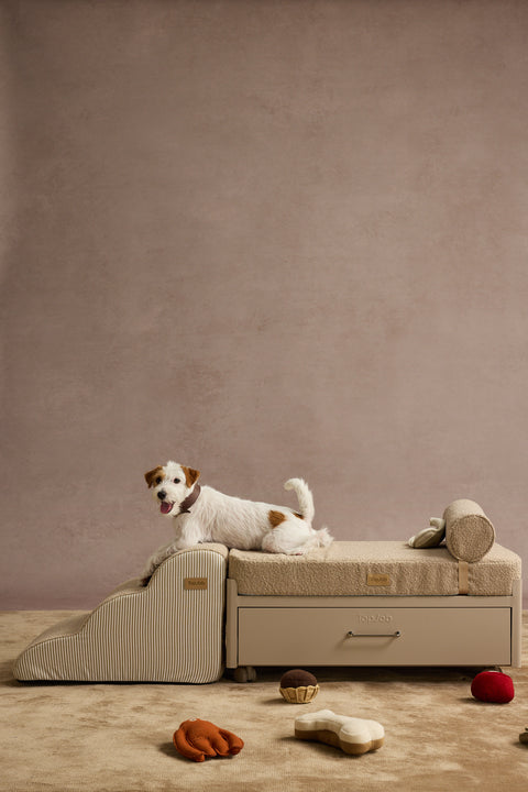 Pawffice