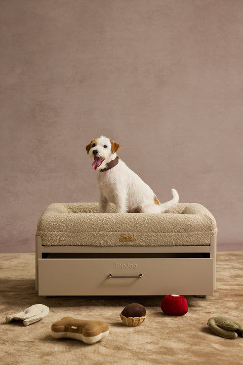 Pawffice