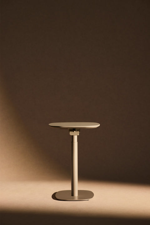AnyDesk Spin