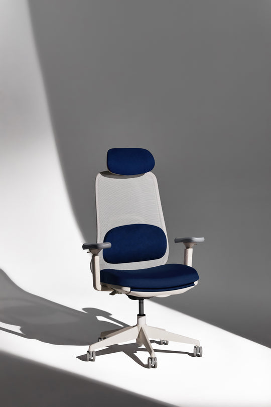 VOYA Ergonomic Chair