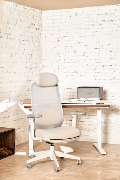 VOYA Ergonomic Chair