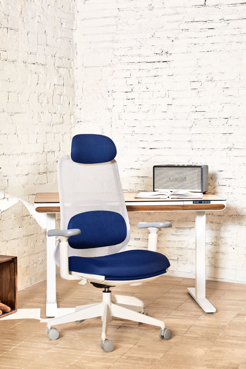 VOYA Ergonomic Chair
