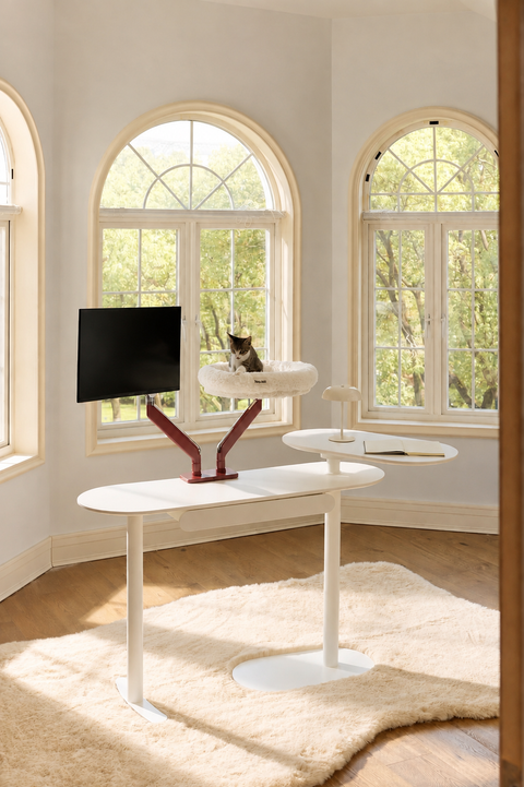 Pawdium Desk-Mounted Cat Nest Set