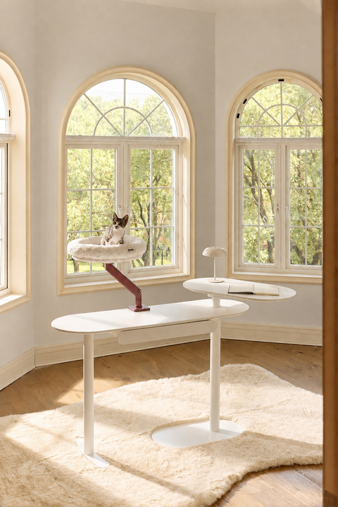 Pawdium Desk-Mounted Cat Nest Set